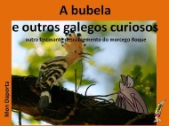 A bubela e outros galegos curiosos